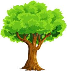 鼎盛娱乐官网Logo